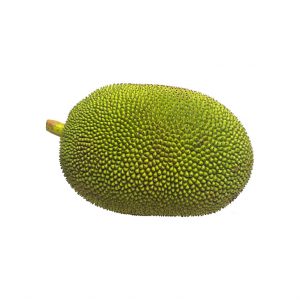 Jackfruit