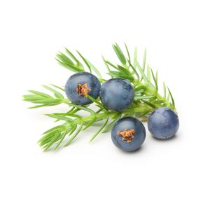 Juniper Berries